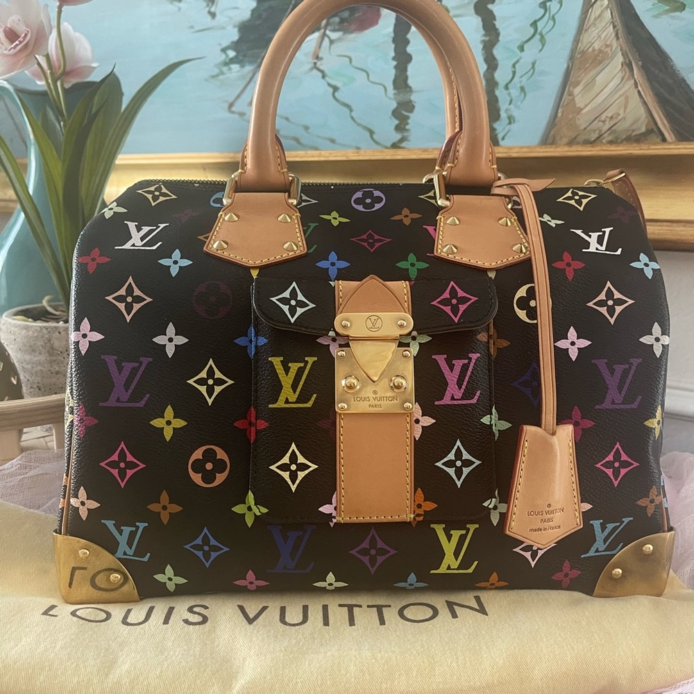 Louis Vuitton multicolor Speedy 30